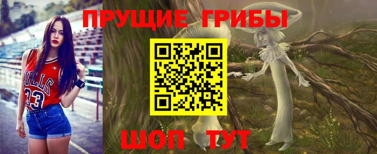 Галлюциногенные грибы мицелий Зима