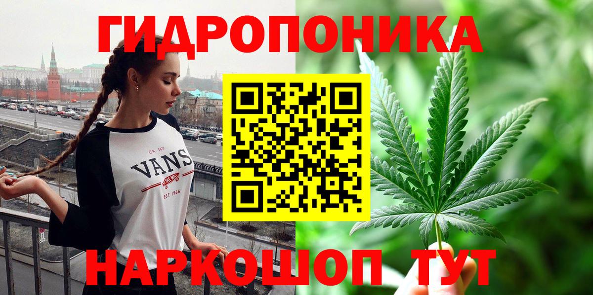 Бошки Шишки гибрид  Вход с VPN  Конопля White Widow  Зима 